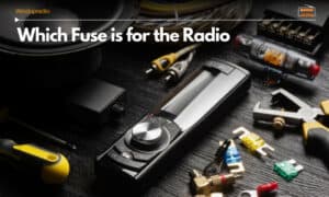 which fuse is for the radio